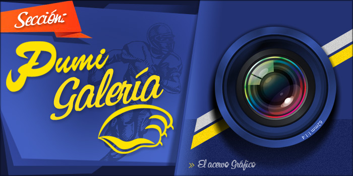 Pumi-Galer&iacute;a